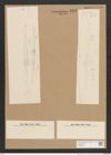 Plagiotropis elegans (de-Toni-Nr.: Genus 30) Zeichnungen Sammlung Grunow Nr. 2493 (NHMW-BOT-W0369814)